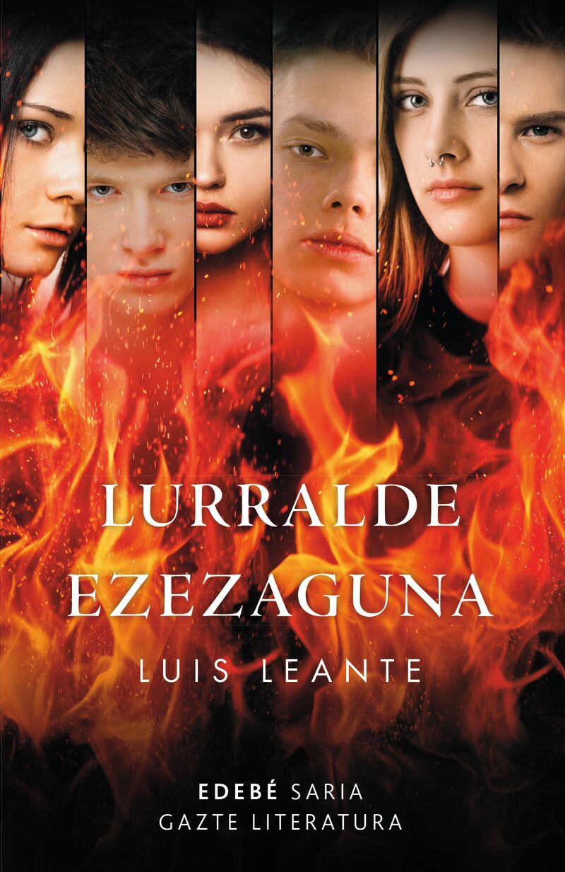 Liburuaren irudia