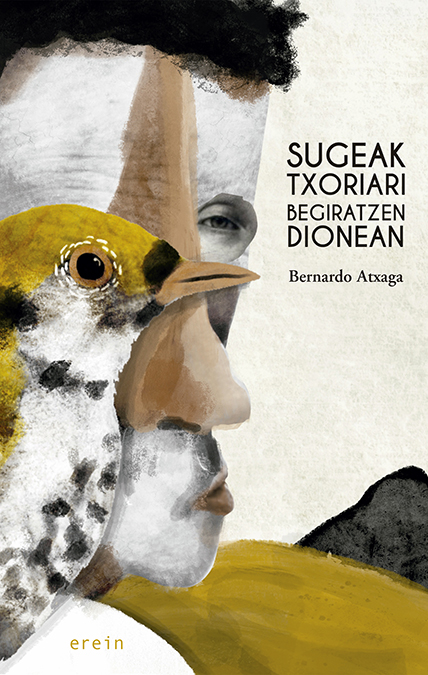 Liburuaren irudia