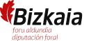 Bizkaiko foru aldundia